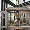 Treasure House Antiques and Collectibles gift card