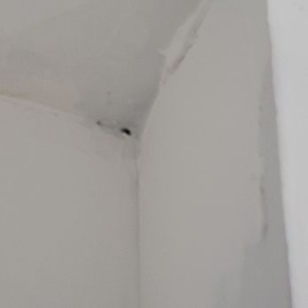 MCO Professionals - Painters Near Me