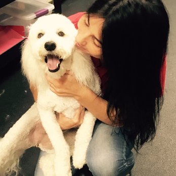 Camp Run-A-Mutt - Saying thank you to Wendy for her groom today - Pet Sitting Near Me - Chula Vista, California Camp Run-A-Mutt - Saying thank you to Wendy for her groom today - Pet Sitting Near Me - Chula Vista, California