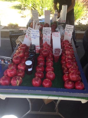 Montrose Farmers Market by null