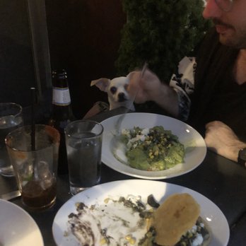 La Contenta Oeste - My dog envying our meal even though his greedy a** had his own smh - Mexican Near Me - New York, New York