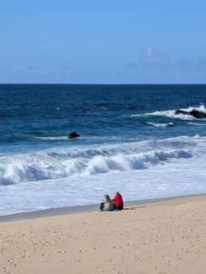 Garrapata State Park by null