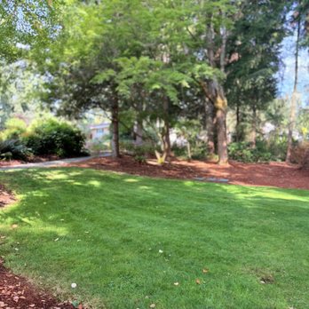 Cherry Crest Mini Park - Grassy area next to a picnic table - Parks Near Me - Bellevue, Washington Cherry Crest Mini Park - Grassy area next to a picnic table - Parks Near Me - Bellevue, Washington