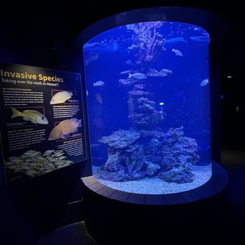 Maui Ocean Center - Aquariums Near Me - Wailuku, Hawaii Maui Ocean Center - Aquariums Near Me - Wailuku, Hawaii