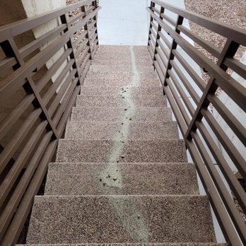 Vive - This is how the complex handles poop being left on the stairs. Then proceeded to use a leaf blower to blow it EVERYWHERE. - Apartments Near Me - Chandler, Arizona