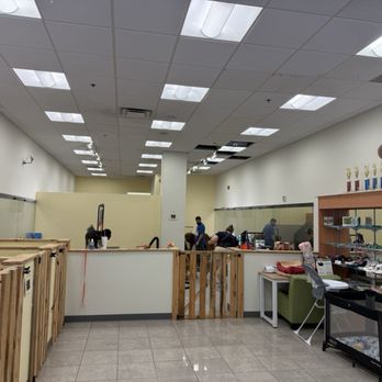 Barks & Bubbles - Where the grooming happens! - Pet Groomers Near Me - Kingston, Massachusetts