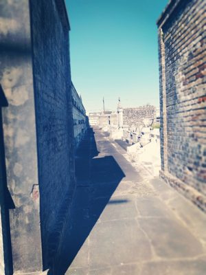 St Vincent De Paul Cemetery by null