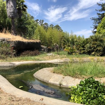 Oakland Zoo - Zoos Near Me - Oakland, California Oakland Zoo - Zoos Near Me - Oakland, California