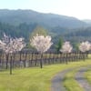 Trespass Vineyard gift card