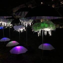 Redmond Lights