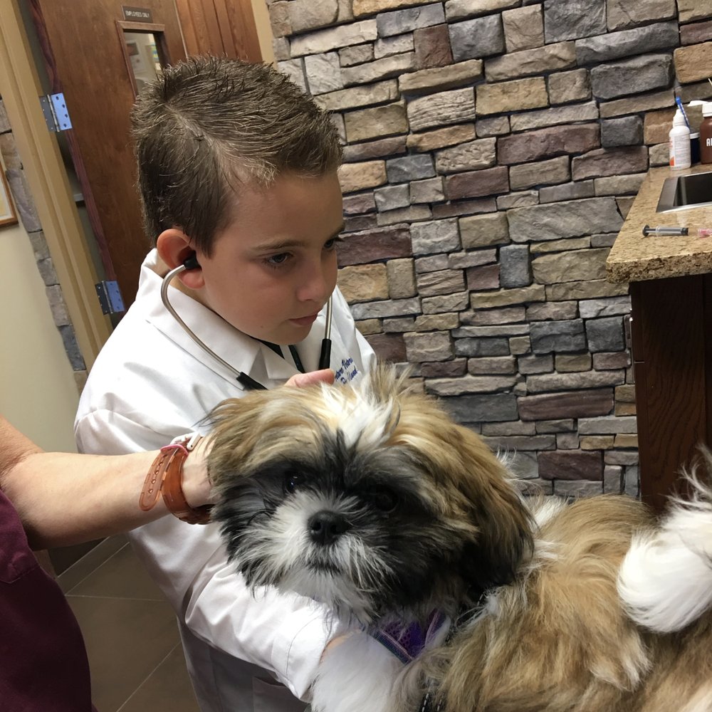 Parkland Animal Clinic Image