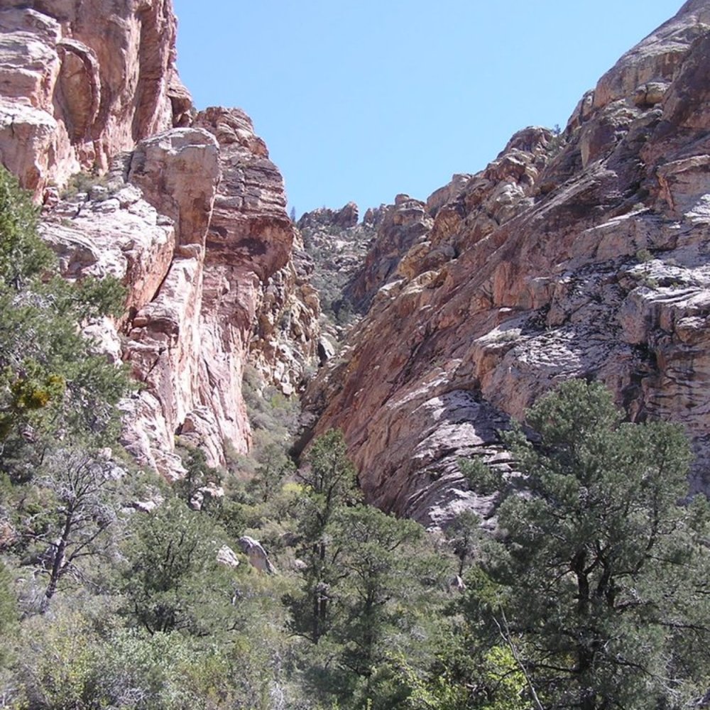 White Rock Loop - Some of the sandstone on the back of White Rock Mountain. - Hiking Near Me - Las Vegas, Nevada