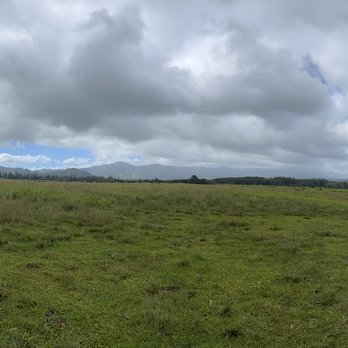 Kipu Ranch Adventures - Tours Near Me - Lihue, Hawaii Kipu Ranch Adventures - Tours Near Me - Lihue, Hawaii