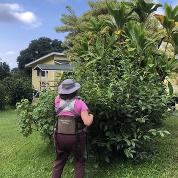 Kuaiwi Farm - Tours Near Me