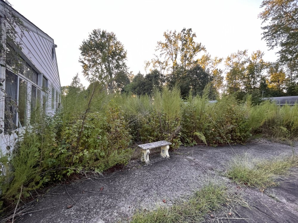 Slide of The Hands Team