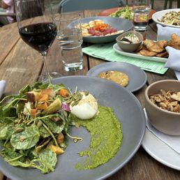 Harvest Panzanella Salad with grilled chicken, and a Blueberry White Chocolate Cookie