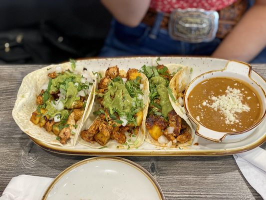 Dahlia Daytona Beach by null