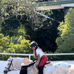 Mulberrymare Equestrian - Training with the BEST RAQUEL