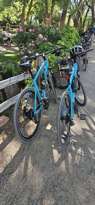 Bike In Coffee by null