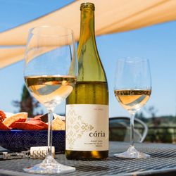 Coria Estates - 2023 Pinot gris, Willamette Valley, Oregon.