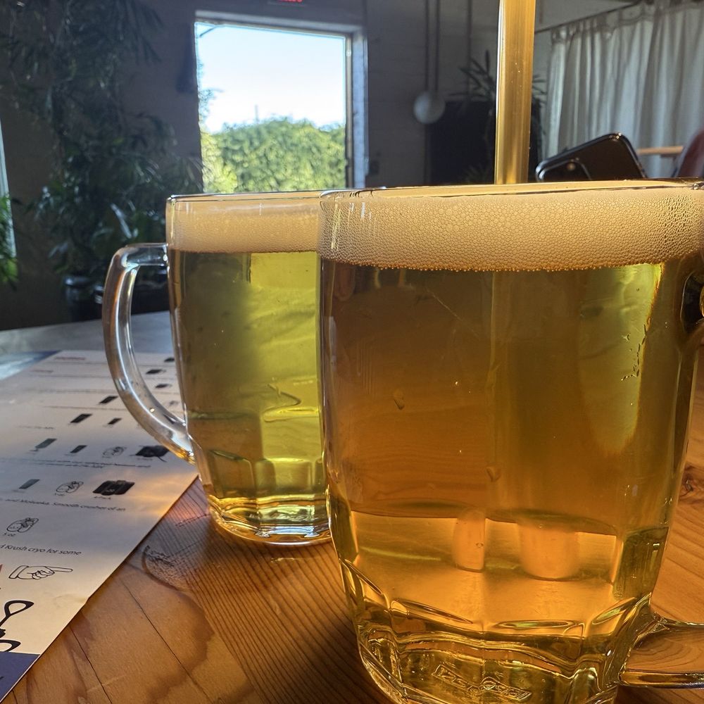 Blue corn lager Blue corn lager