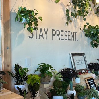 Corridor Flow - Coffee & Tea Near Me - Lomita, California Corridor Flow - Coffee & Tea Near Me - Lomita, California