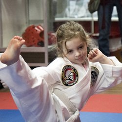 Troy Martial Arts