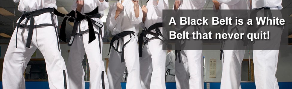 Brown's Martial Arts Logo