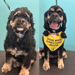 Before/after! Wow!!