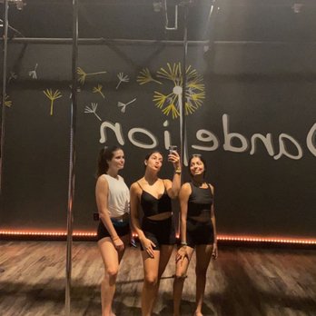 Dandelion - Studio Single Pole Class (Drop In) - Pole Dancing Classes Near Me - Orlando, Florida