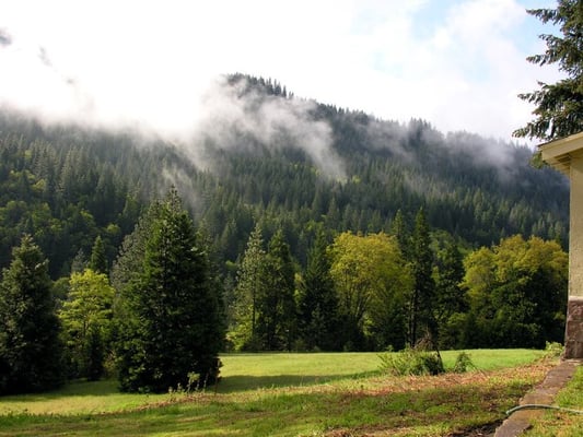 Dunsmuir Lodge by null