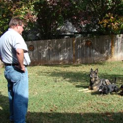 Kim Kelly Dog Training - Working with my dogs