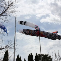 Japanese Cultural Center, Tea House, and Gardens of Saginaw
