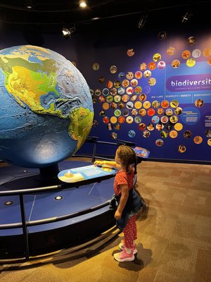 Discovery Place Science by null