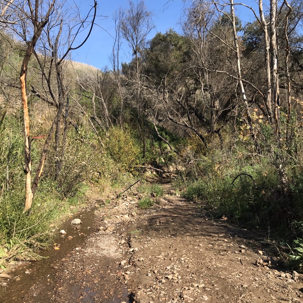Escondido Canyon Park - Hiking Near Me - Malibu, California Escondido Canyon Park - Hiking Near Me - Malibu, California
