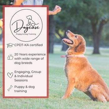 Dogease Puppy & Dog Training - Pet Training Near Me Dogease Puppy & Dog Training - Pet Training Near Me