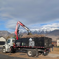 Climbers Tree Care