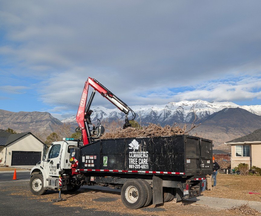 Climbers Tree Care - tree service in Lindon, UT