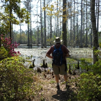 Cypress Gardens - View from walking path - Parks Near Me - Moncks Corner, South Carolina Cypress Gardens - View from walking path - Parks Near Me - Moncks Corner, South Carolina
