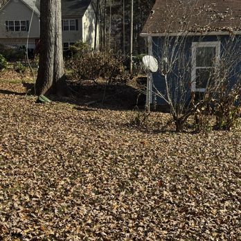 Lopez Tree Services and Landscaping - Branches that were cut from top of the tree laying in a Large pile next to the house and laying on my shrubs against my house. - Tree Services Near Me - Marietta, Georgia