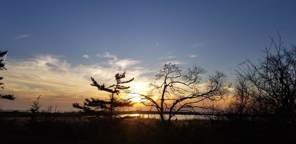 Jamaica Bay Wildlife Refuge by null