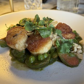 ELDO - Scallops - Seafood Near Me - El Dorado Hills, California ELDO - Scallops - Seafood Near Me - El Dorado Hills, California