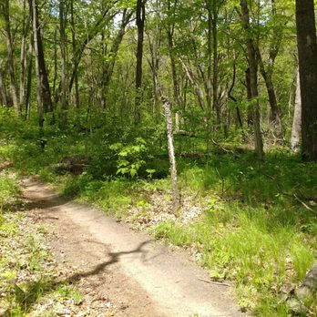 Yankee Springs Recreation Area - Hiking Near Me - Middleville, Michigan Yankee Springs Recreation Area - Hiking Near Me - Middleville, Michigan