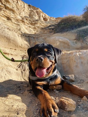 La Jolla Trail by null