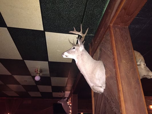 Barlow Tavern by null