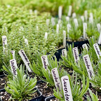 Joe’s Farm - The only place to get herbs! - Farms Near Me - Bixby, Oklahoma Joe’s Farm - The only place to get herbs! - Farms Near Me - Bixby, Oklahoma