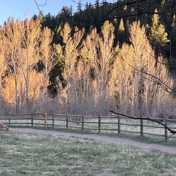 Lair o' the Bear Park - Hiking Near Me - Idledale, Colorado