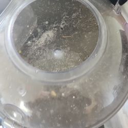 Z Cleaning Crew - This is supposed to be clean ... NOT