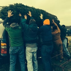 Cherry Grove Xmas Tree Farm - Annual Christmas tree outing