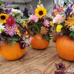 Warrenton Farmers Market